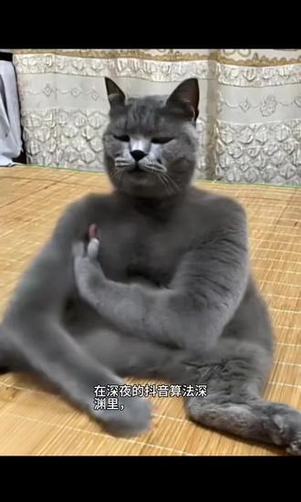 都市传说之拔罐猫