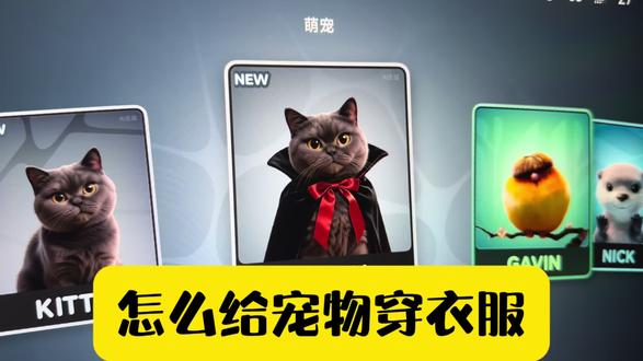 小米车机更新了,竟然还有人不知道怎么给爱宠穿衣服? #小米汽车 #小米车机 #小米萌宠 #车载喵星人 #车载哈基米
