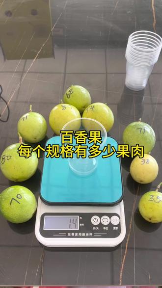 百香果多大的果子有肉呢? #百香果 #水果 #新鲜应季水果 #新鲜采摘 #钦蜜9号百香果