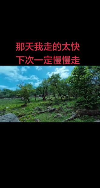 关山C线 #关山C线#爬山的意义 一路只顾匆匆前行,埋头向上,竟忘了停下看看沿途风光,也弄丢了出发时爬山的初衷,下次一定慢慢欣赏。