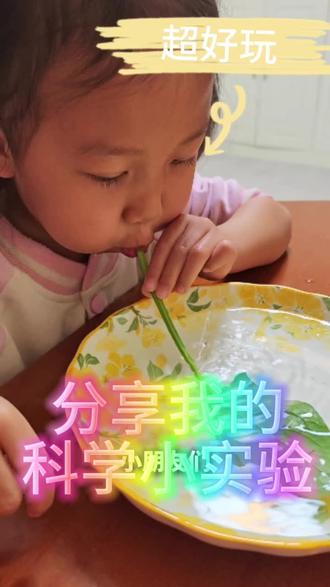 换了三支叶子,无奈茎都是断的#科学小实验 #儿童探索 #生活中的小科学 #萌娃日常