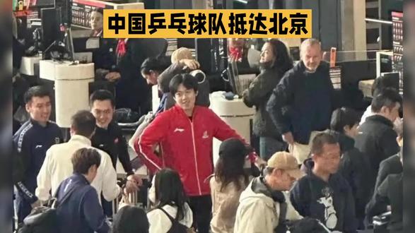 中国乒乓球队抵达北京#dou上热门 #国乒回国 #世界冠军 #中国乒乓男团冠军 #中国乒乓女团冠军