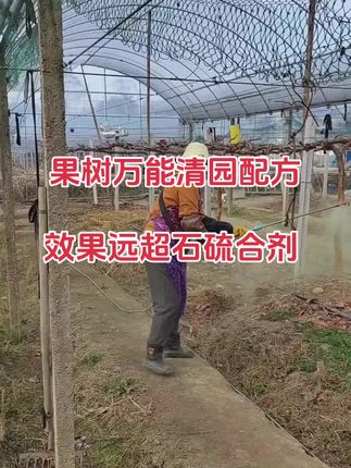 果树万能清园配方,效果远超石硫合剂#清园 #清园剂 #葡萄清园