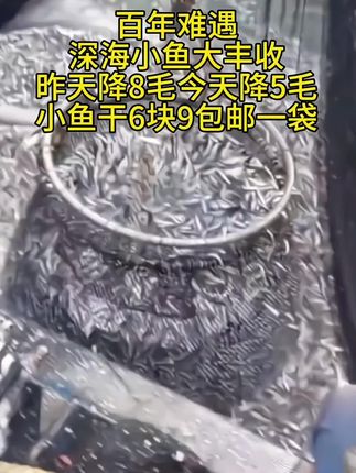 特价深海小鱼干#鱼干 #小鱼干 #好吃到停不下来#超便宜超划算 #下酒菜