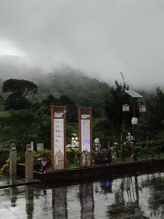 第六十三集:桦加沙”(超强台风级)即将来临,大家注意安全防范措施。#云雾缭绕人间仙境 #清新空气 #自然风景区 #烟雨