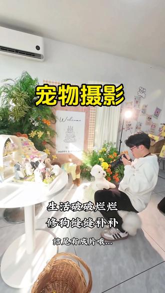 韩小糯生日派对
感谢臭饼干,大米,咖啡,蓝莓,阿楚来参加糯糯的生日派对
#宠物摄影 #宠物摄影师 #萌宠出道 #生活破破烂烂狗狗缝缝补补 #人宠写真