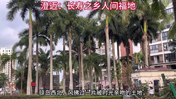 #@#澄迈:长寿之乡、人间福地。@