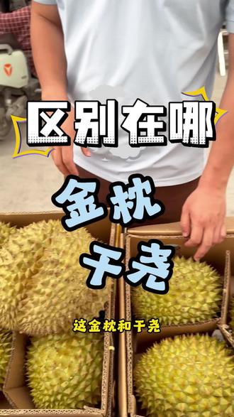 金枕干尧什么区别? 蟹老板亲自来解答啦!#滁州水果市场 #水果批发 #千果千寻 #金枕干尧区别 #卖榴莲我们是专业的