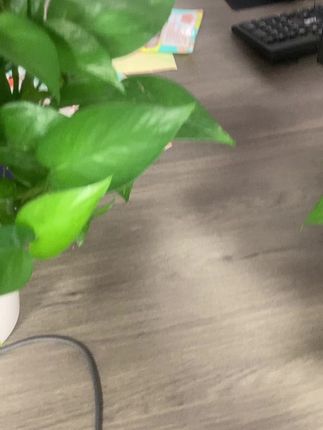 首饰袋 【福利款】透明收纳袋防氧化放项链手镯手链耳环耳钉便携