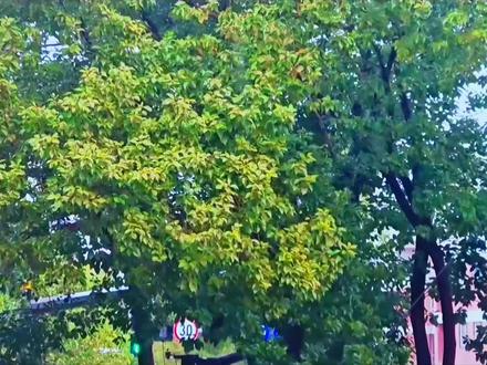 #育儿 #育儿教育 #认知提升 #认知觉醒 #接受平庸 1. 你还在逼孩子考高分吗?醒醒吧!一个28楼的悲剧告诉我们,比起全校第一,孩子的身心健康才是头等大事,考倒数第一也是咱家好孩子,评论区打“身心健康”,把这个育儿底线刻进心里!