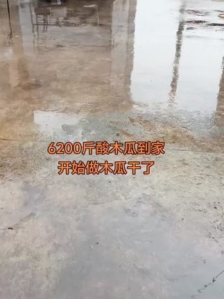 努力做木瓜干!!#紫苏木瓜干#玫瑰木瓜干#源头实力厂家 #干活我是认真的 #