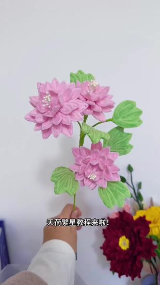 #扭扭棒 #扭扭棒手工 #天荷繁星 #天荷繁星月季 天荷繁星月季教程来啦 !