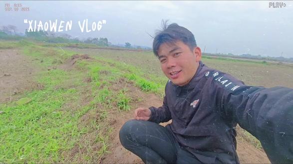 荷叶杂草堆肥。#为每一种未来 #小温同学 #花 #农村 #农村生活