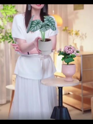 简约白犀牛海芋竹芋盆栽盆景室内客厅办公室桌面观叶趣味花卉绿植#绿植盆栽