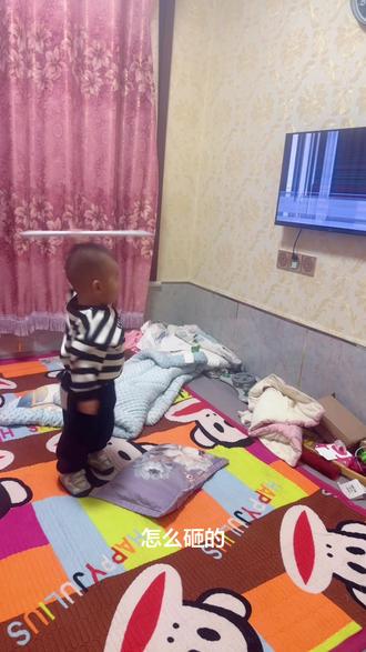 家有神兽啊 哥仨正好凑齐 一人砸坏过一个📺