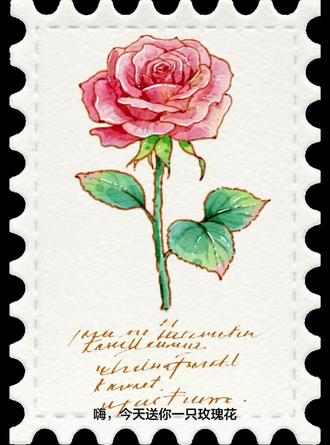 谁能抵挡玫瑰花的诱惑呢#跟着抖音学画画 #画画其实很简单 #水彩玫瑰花 #一亿流量扶持计划 #每日一画