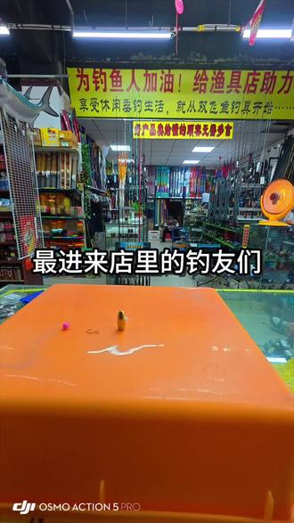 给新手朋友们出个逗钓钓组教程#路亚#鲫鱼 #逗钓