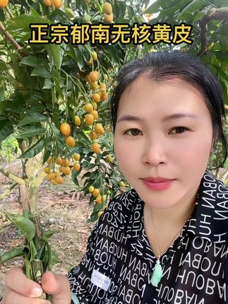 夏天标配无核黄皮#黄皮#郁南无核黄皮