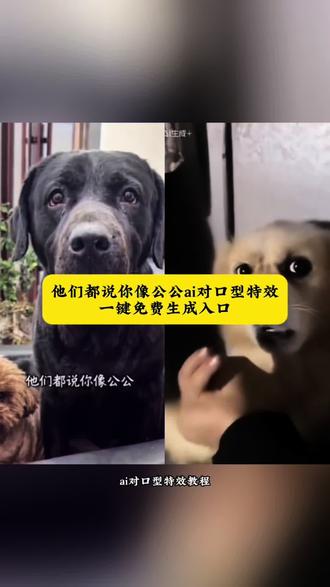 萌宠版他们都说你像公公特效教程 他们都说你像公公特效ai版 他们都说你像公公狗狗版怎么创作 他们都说你像公公片段制作#他们都说你像公公 他们都说你像公公怎么弄的 他们都说你像公公怎么制作模板 他们说你像公公模板怎么拍#剪映 他们说你像公公原版 他们说你像公公模板一键生成入口在哪 他们都说你像公公特效教程#ai他们都说你像公公 他们都说你像公公剪辑 他们说你像公公ai版 像公公的搞笑视频 像公公的原视频拍同款教程狗狗#ai老公像公公对口型 京腔搞笑视频配音最近很火 他们说你像公公模板 他们说你像公公模板宠物版教程 都说你像公公原版视频ai制作 他们都说你像公公教程 他们说你像公公原版特效 他们都说你像公公拍同款 他们都说你像公公搞笑视频 他们说你像公公台词 他们说你像公公配音#老公像公公