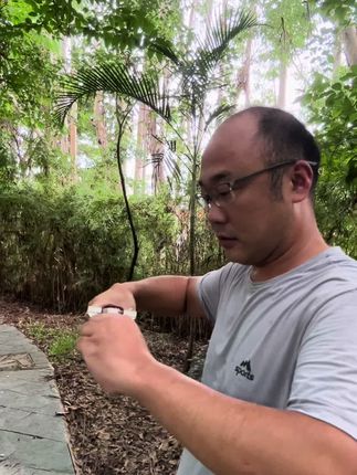 弹弓爱好者 #弹弓爱好者 #弹弓皮筋 #弹弓户外 #弹弓高手