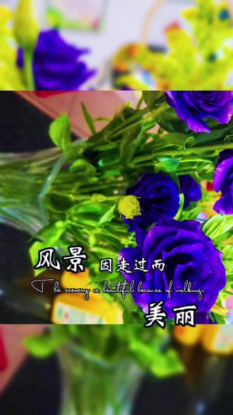 紫色洋桔梗,象征真诚不变的爱