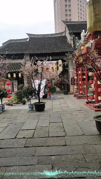 #古建筑之美 回龙窝樱花开,春风入古巷
