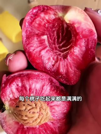 #快来一起尝个鲜 #农产品 #血桃熟了