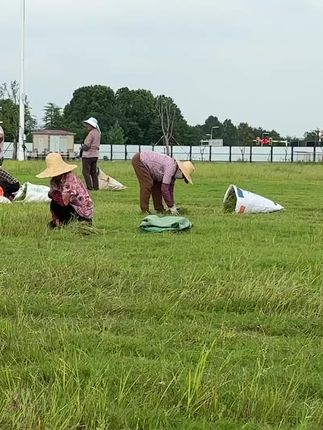 #露营地