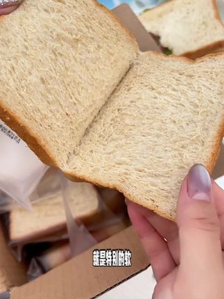 酵母全麦高蛋白#吐司 #吐司面包 #早餐吃什么 #太好吃了