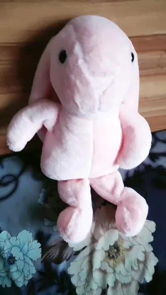 局外人都哭了,局内人怎么释怀。😭😭😭#小圆头#小兔兔🐰