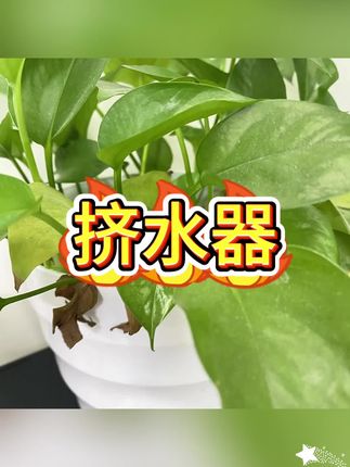 #挤水器#沥水袋#过滤袋