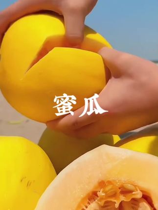 炎热的夏天,你确定不来上一口脆甜多汁的蜜瓜?【产地甄选】甘肃民勤沙漠新鲜金红宝黄河蜜瓜,5/7/8/12斤坏果包赔#口感特别好 #优质农产品 #应季水果