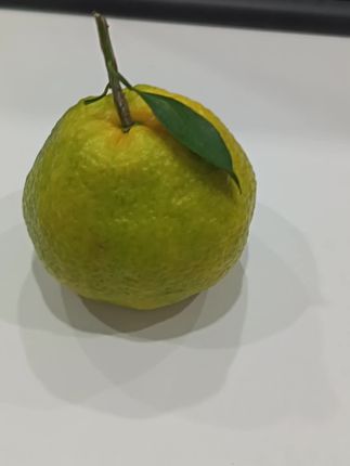 #穿搭