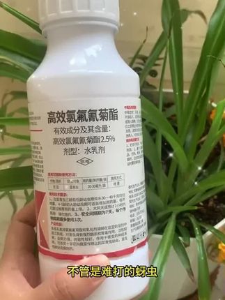 #杀虫剂 #杀虫剂配方 #杀虫剂推荐