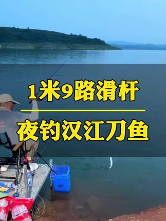 一米九黄金版钓竿夜钓汉江刀鱼#路滑钓法 #路滑杆
