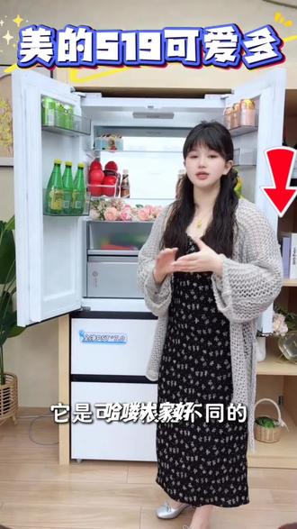 【美的可爱多】美的519冰箱法式冰箱一级超薄大容量云隐白双系统2.0