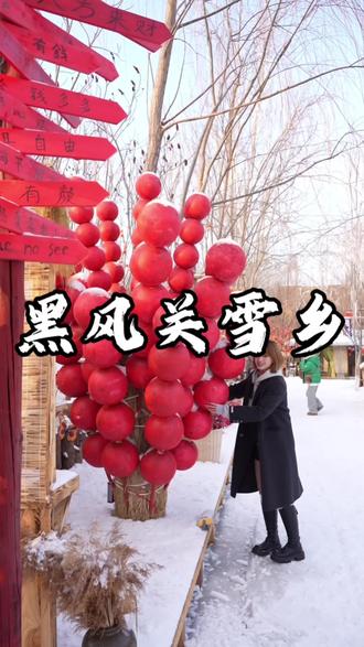 #黑风关古镇#黑风关春节大庙会#乡村爱情来黑风关过大年#旅游攻略 #雪乡美景 逛雪乡看雪景就来黑风关