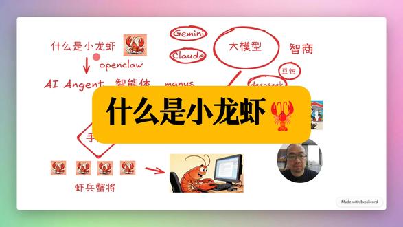 什么是小龙虾🦞? @张锴垒@丽晶软件 #小龙虾OpenClaw #AI知识 #学习分享 #angent智能体 #小龙虾的作用