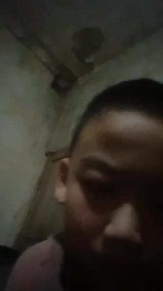 树上的鸟儿成双对 经典老歌 天仙配 主题曲 八零九零年代 童年回忆