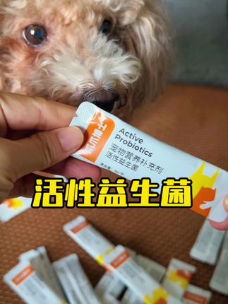 养宠家庭怎么能少了益生菌#好物推荐🔥 #萌宠好物 #萌宠出道计划 #狗狗的心思都写在脸上了