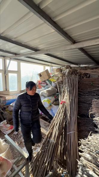 在东北砍柴可不能乱砍,要分山头 #真实生活分享计划 #农村生活