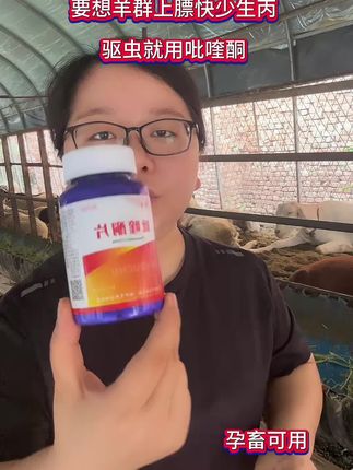 #养羊技术 #养羊技术分享 #养羊知识 #羊价 #羊价行情