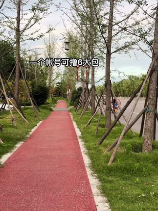 #新人福利第一单 大品牌大羊毛别错过!一人可带走6大包维达抽纸组合装!快薅!#一起撸羊毛#生活用纸 #好物推荐分享#好用的大包纸巾推荐