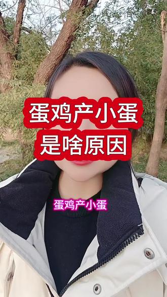 蛋鸡产小蛋是什么原因#蛋鸡养殖 #蛋鸡产小蛋#江苏养鸡