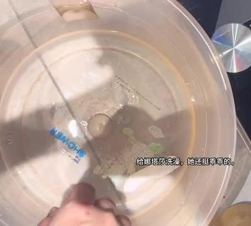 记录给娜塔莎洗澡的一天#新手妈妈#娜塔莎#陈店商都