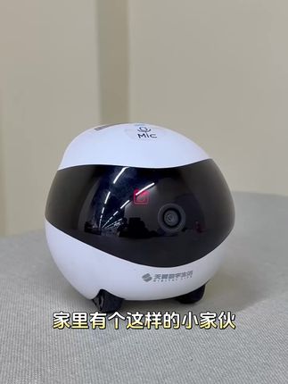 #科技改变生活 #惊不惊喜意不意外 #跟随机器人 #萌宠 #萌娃 有这样的跟随机器人放在家,还有什么不放心的呢?