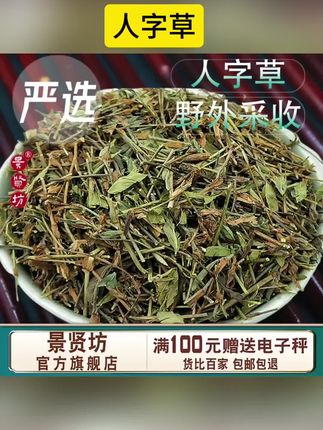 人字草中药材别名三叶人字草新鲜苍蝇翅蚂蚁草掐不齐可搭穿破石#好物推荐🔥 #好东西一起分享 #内容过于真实 #抖音小助手#抖音小助手dou上热门