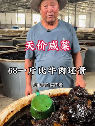 农村大爷卖狮子头咸菜,68一斤比牛肉还贵,做法讲究用料独特 农村大爷卖狮子头咸菜,68一斤比牛肉还贵,做法讲究用料独特#咸菜 #土特产 #咸菜丝