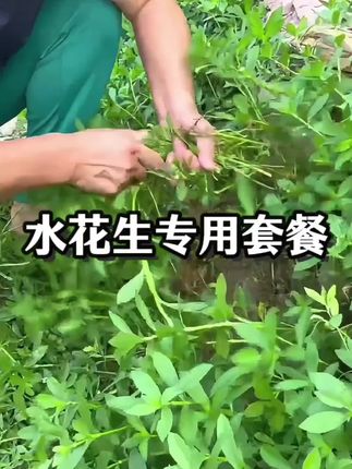 #上热门 #【抢!限时补贴)专业配方,顽固水花生 连根除#水花生#水草#正品包邮