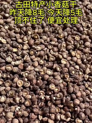 古田小香菇干#香菇干 #香菇干货 #优质农特产 #原产地
